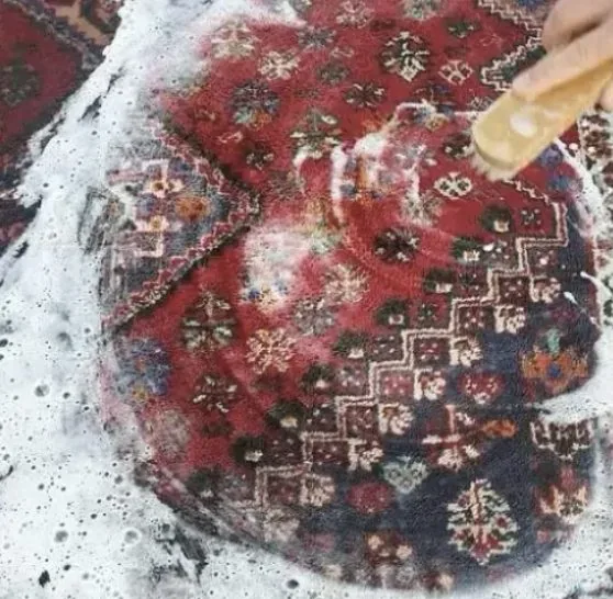 Lavage à la main d’un tapis d’Orient, mousse et eau claire sur le velours
